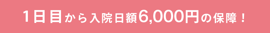 1日目から入院日額6,000円の保障！