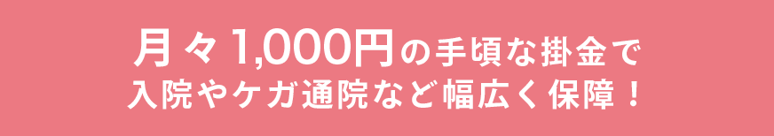 月々1,000円の手頃な掛金で入院やケガ通院など幅広く保障！