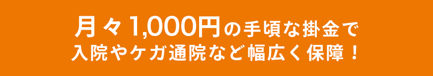 月々1,000円の手頃な掛金で入院やケガ通院など幅広く保障！