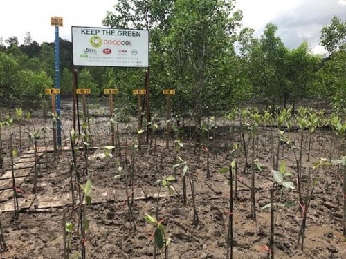 donating-to-mangrove-tree-planting①.jpg