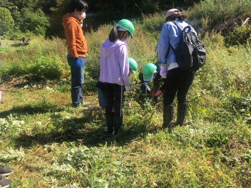 Iwate Co-op's 'Co-op Forest' Activity