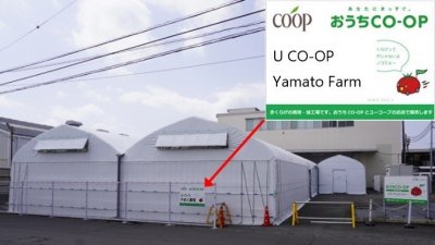 UCO-OP Yamato Farm.jpg