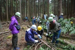 Co-op Shiga holds 'Let's Play with Nature & Lumberjack Experience' event