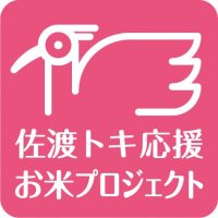 toki_pink_a.jpg