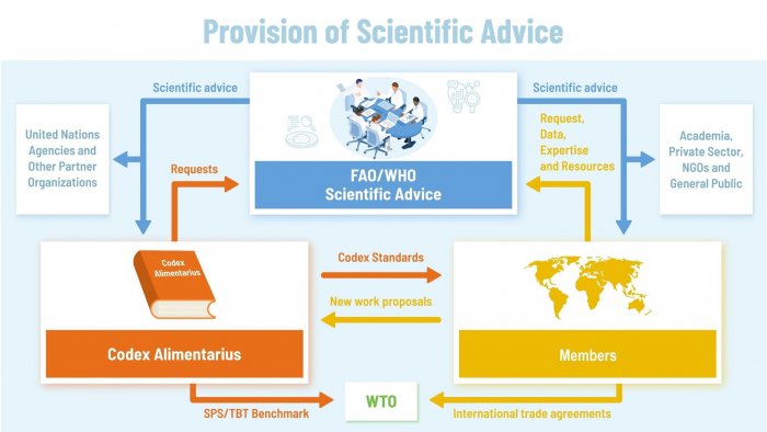 Provision of Scientific Advice .jpg