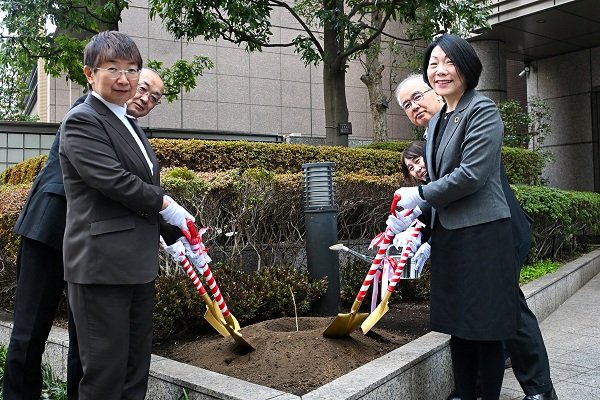 Planting of a Second-Generation A-bombed Chinese Parasol Tree.jpg