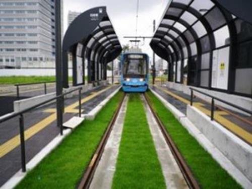 Support for Kumamoto City's greening project, 'the project to lay lawn grass on city tram trackbed '