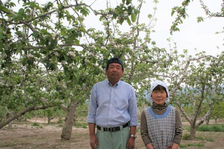 The Shinshu Sanchoku Producers Union in Nagano Prefecture, recent report on apple growth