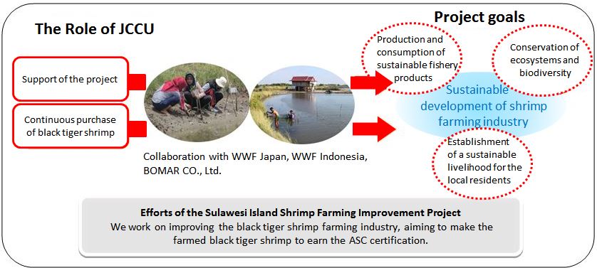 https://jccu.coop/eng/news/uploads/sulawesi-shrimp-project-chart.JPG
