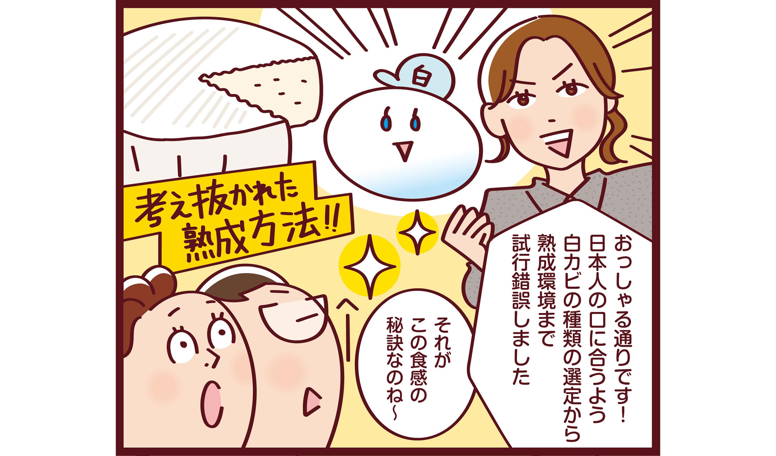 第20話　CO・OP 北海道カマンベールチーズの画像